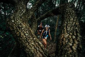 BIB: 
                            <button type="button" onclick="openModal(25682537)" class="btn btn-primary btn-sm float-right btn-popup" data-toggle="modal" data-target=".modal-high-quality">
                        <i class="fas fa-shopping-cart"></i> Add to Cart
                    </button>
                                            <button type="button" onclick="isThisMe(25682537, true)" class="btn btn-success btn-sm float-right btn-popup btn-isme hidden" data-toggle="tooltip" data-placement="bottom" title="นี่คือรูปของคุณใช่ไหม คลิกที่นี่เพื่อเอาเข้าอัลบั้ม">
                        <i class="fas fa-plus"></i> Add to album
                    </button>
                    <button type="button" onclick="isThisMe(25682537, false)" class="btn btn-warning btn-sm float-right btn-popup btn-isnotme hidden">
                        <i class="fas fa-ban"></i> Remove from album
                    </button>